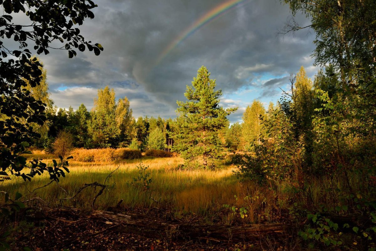 Природа перед грозой