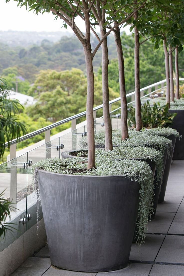 Кашпо giardino Melrose