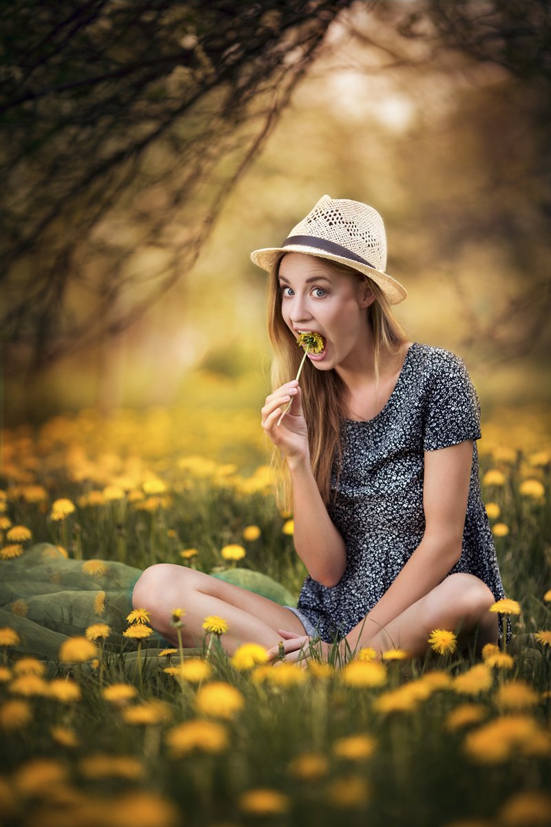 Фотосет с одуванчиками
