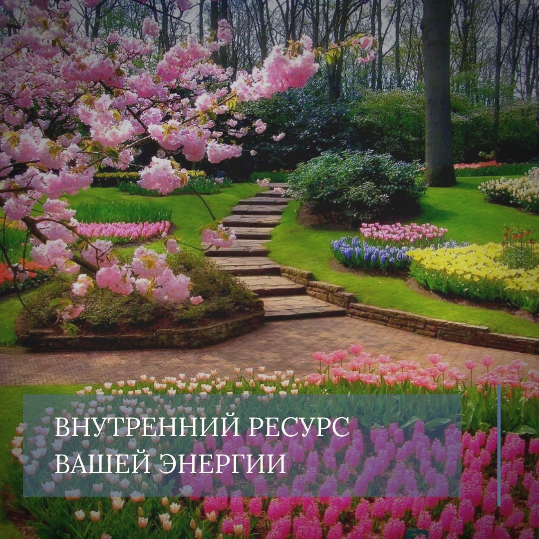 Сад в цветах