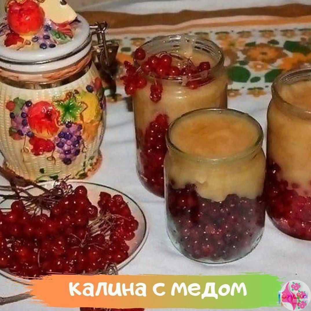 Калина с медом