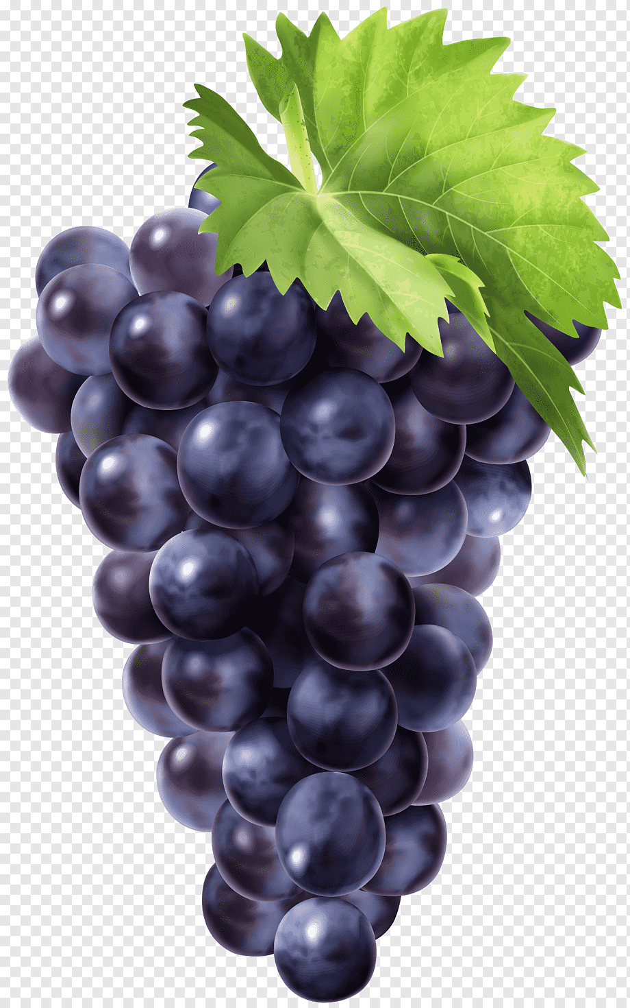 Липецкий виноград