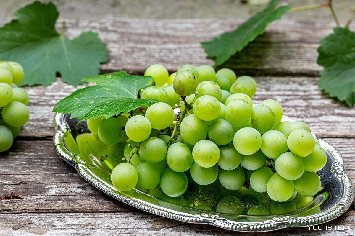 Изабелла зеленая виноград