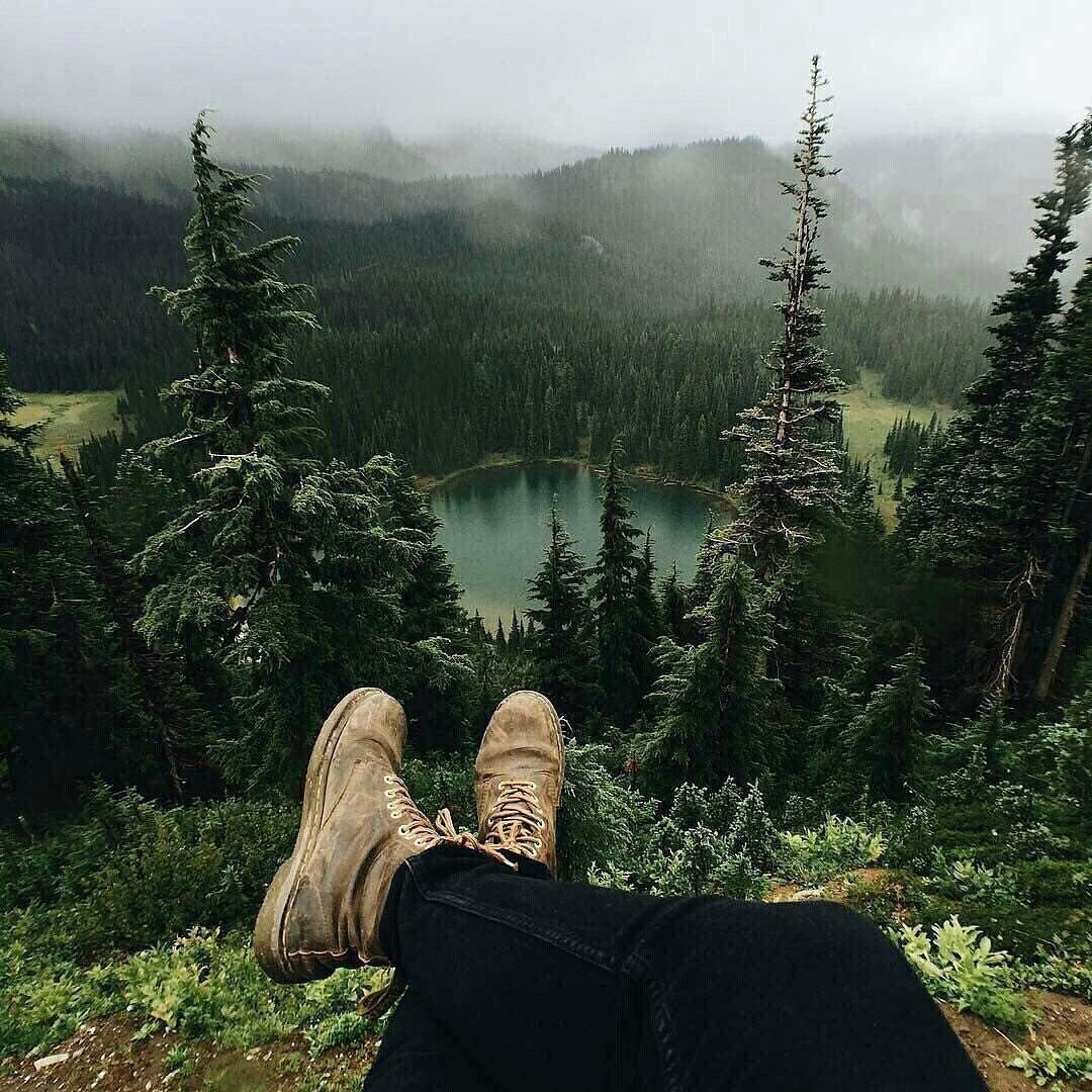 Жизнь в лесу