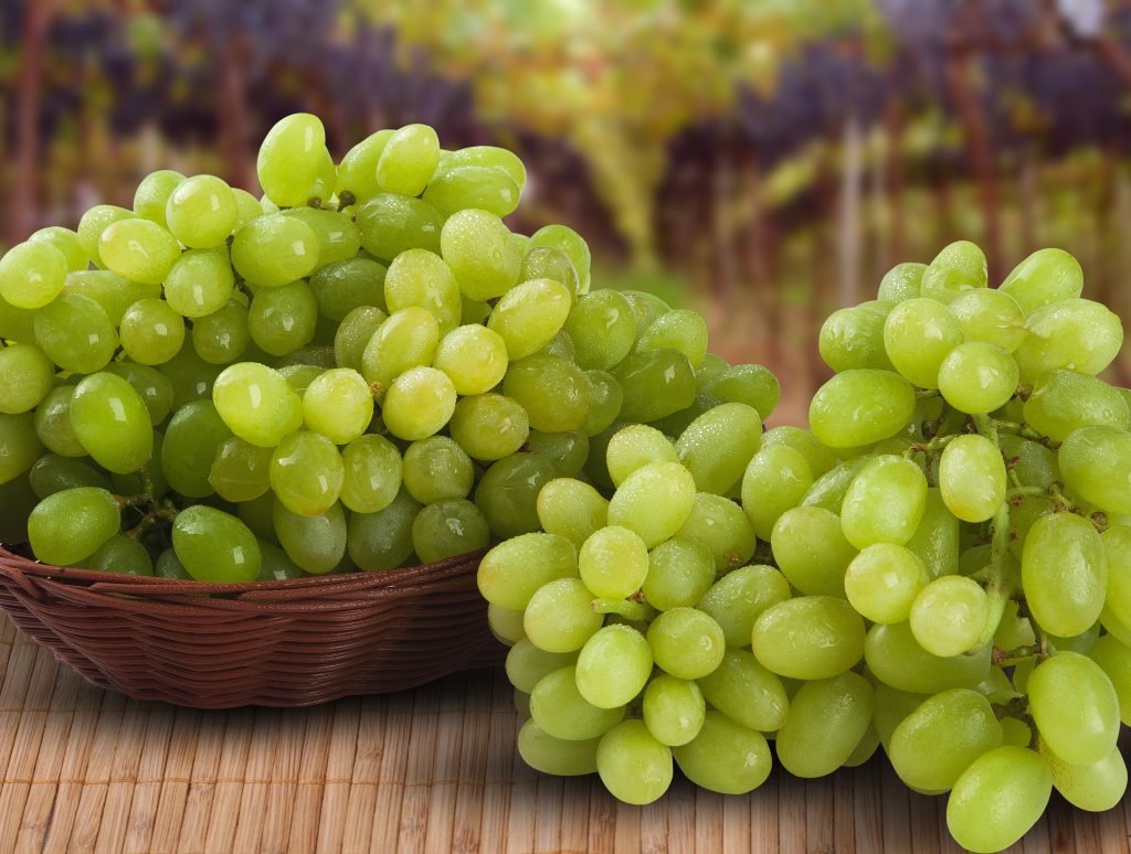 Sebero - grapes (виноград)