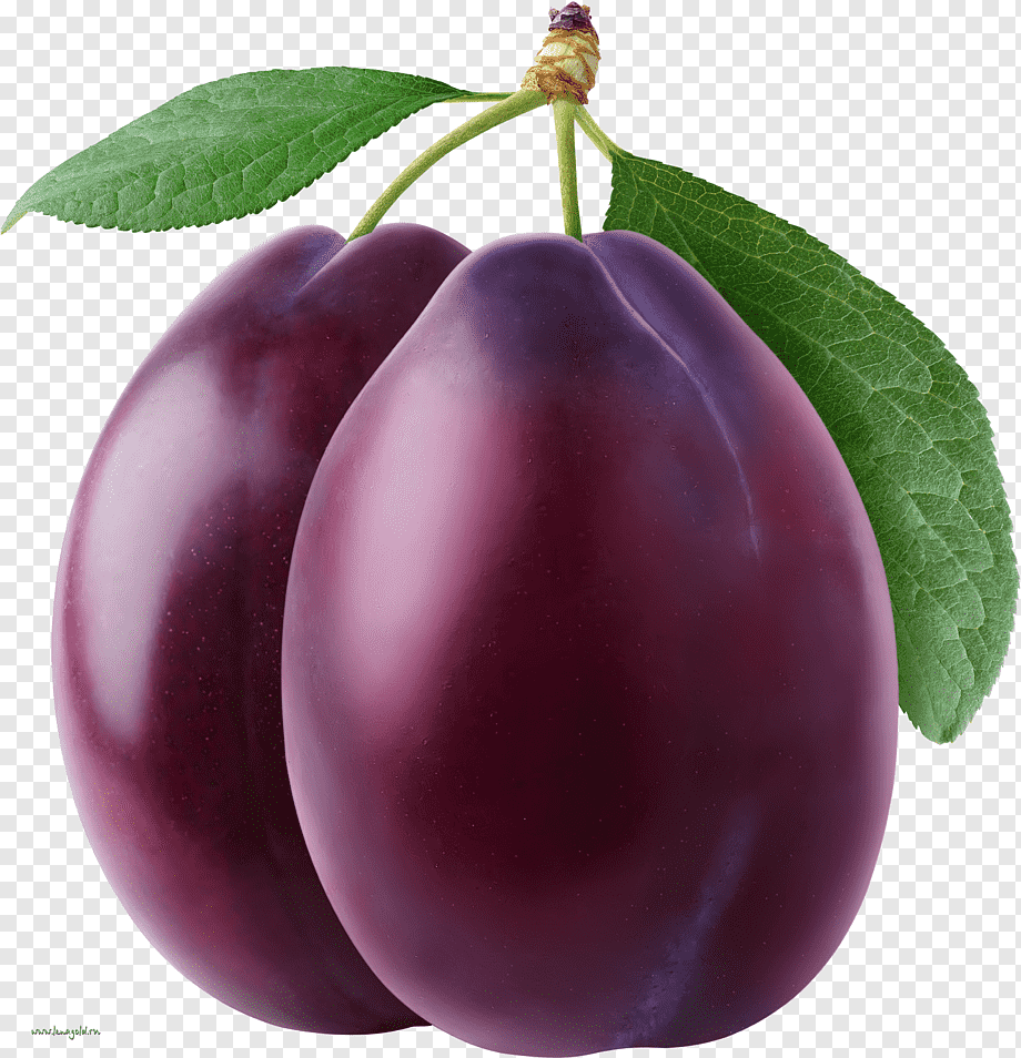 Слива ВИЗИОН