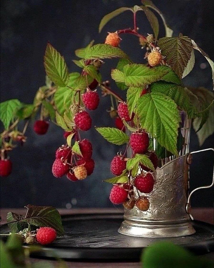 Фотонатюрморты с ягодами