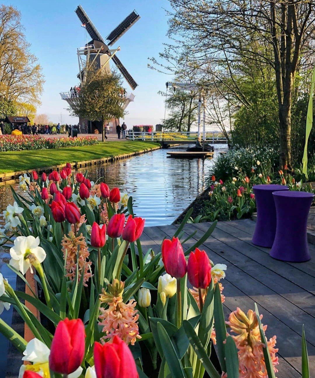 Нидерланды весенний парк Keukenhof