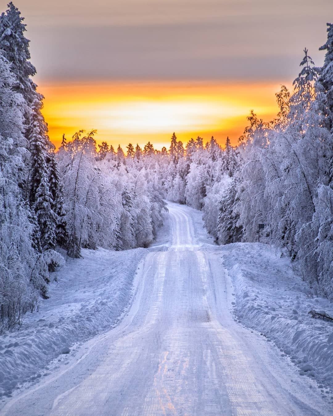 Красота зимы