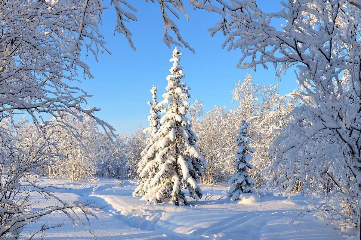 Зимний пейзаж
