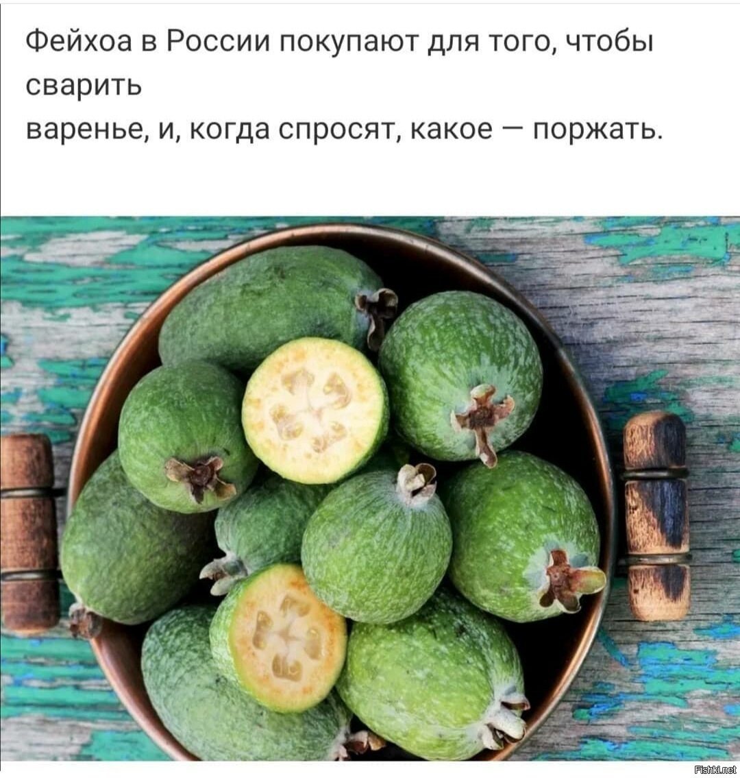 Зелёная ягода фейхоа