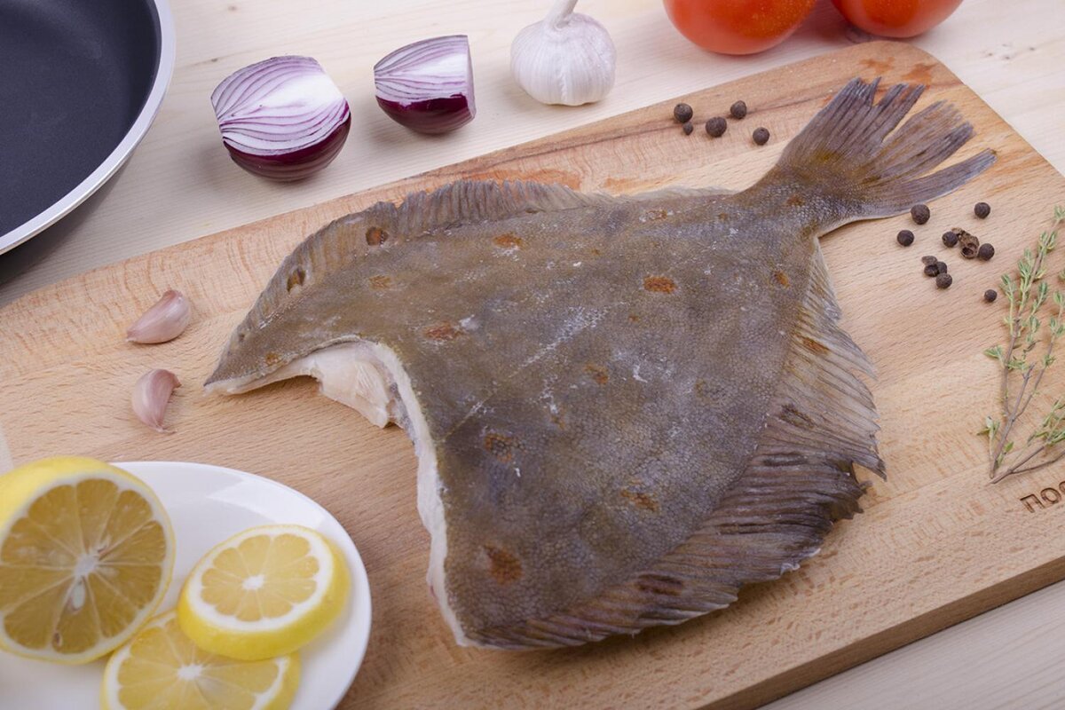 Морская камбала