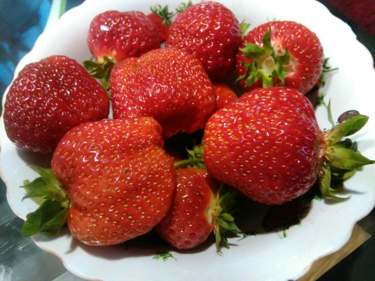 Клубника Кимберли
