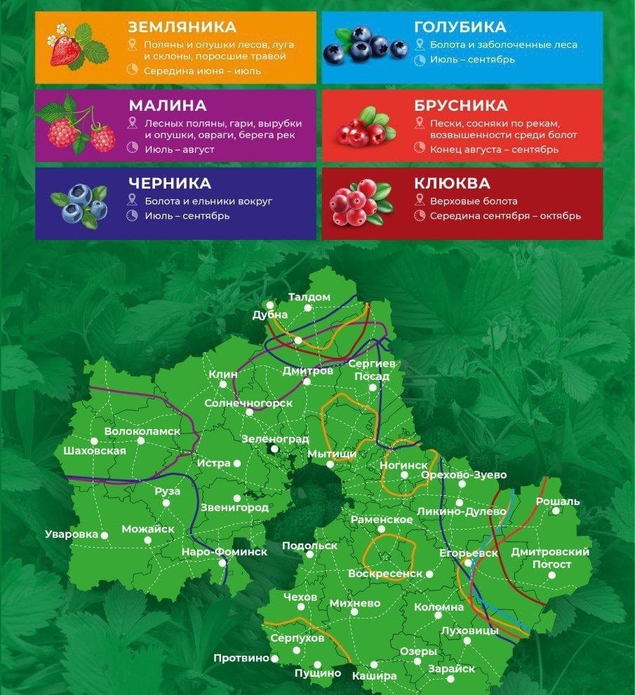 Ягодная карта Подмосковья 2021