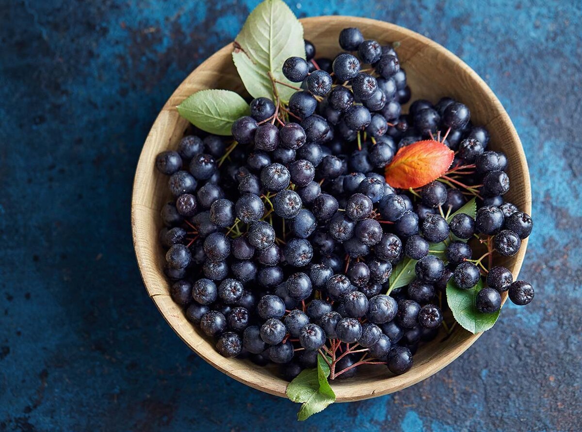 Aronya (chokeberry),