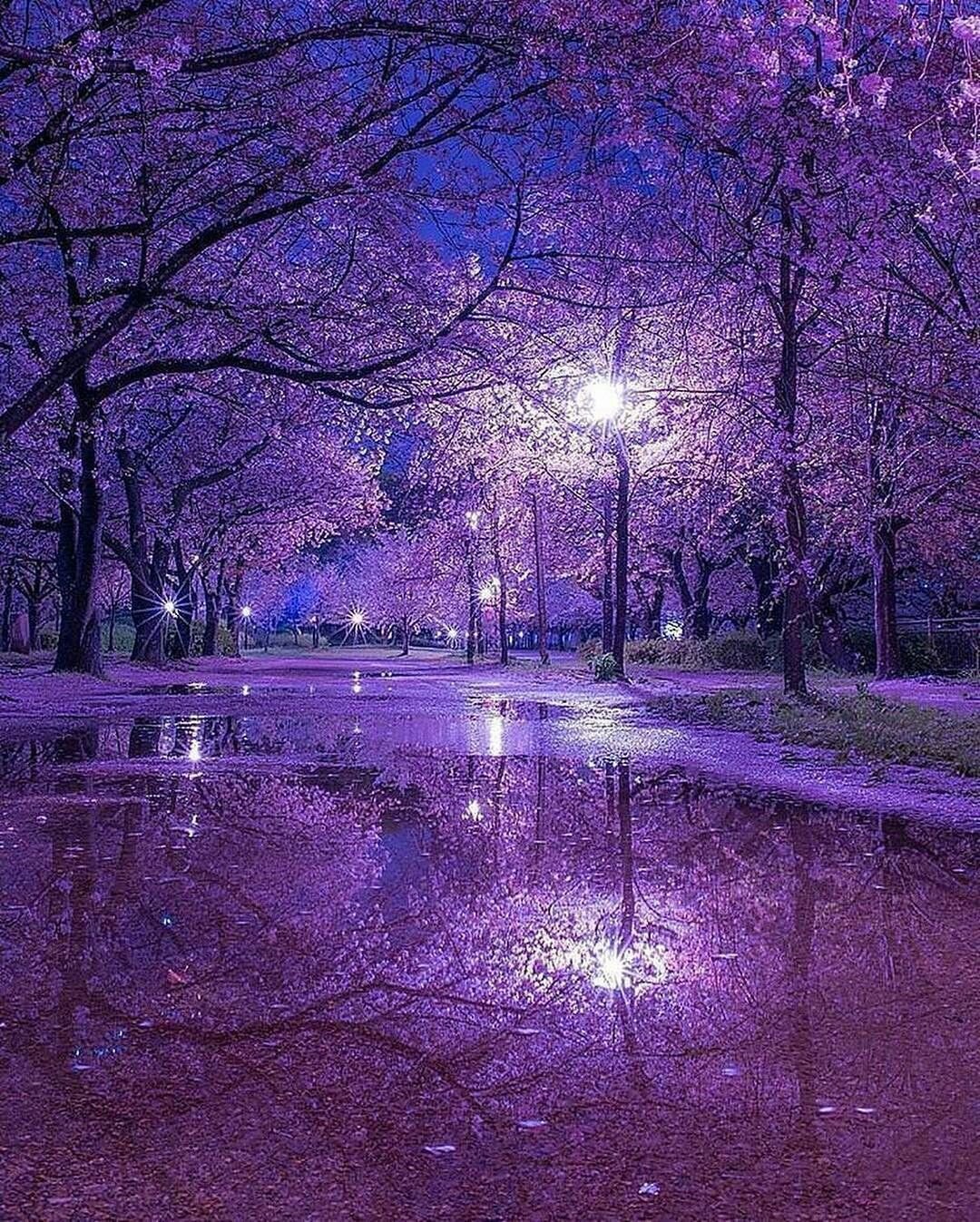 Пейзаж в сиреневых тонах