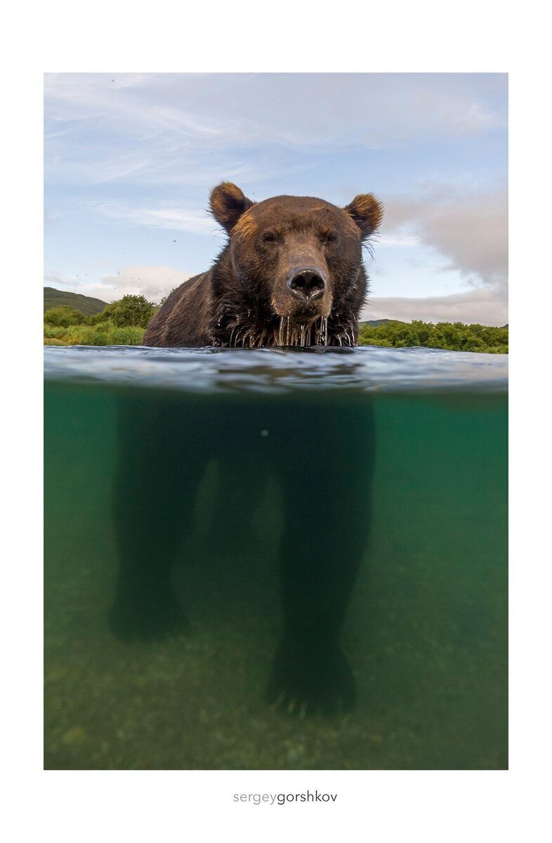Сергей горшков фотограф
