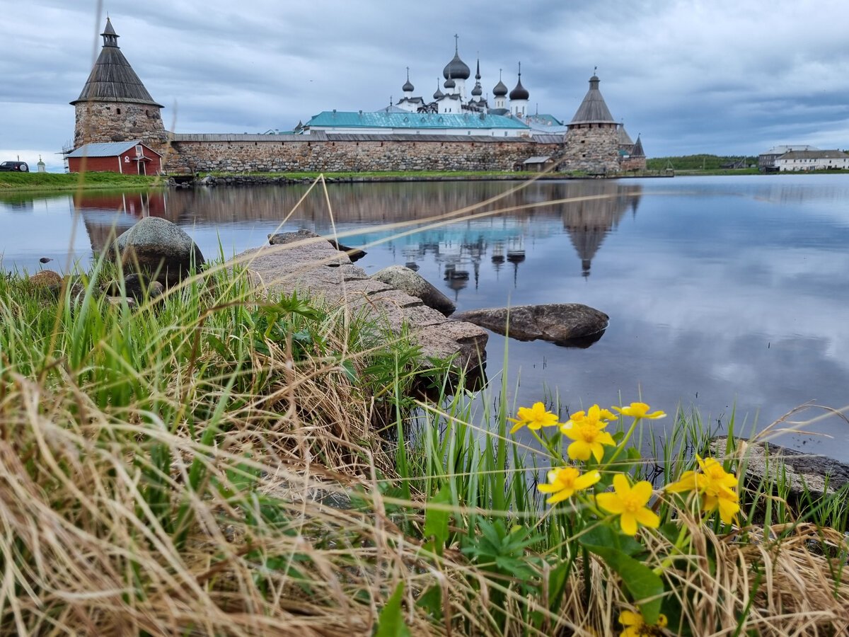 Соловецкие острова природа