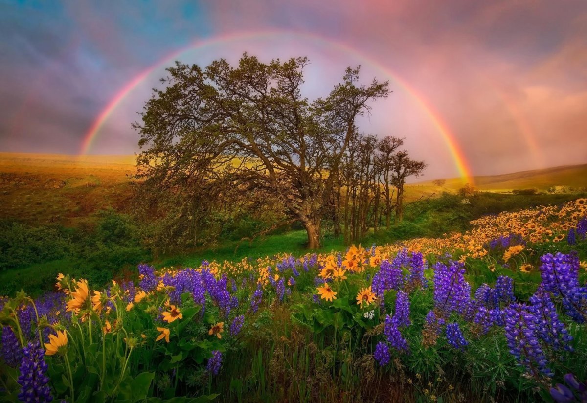 Чудесная природа