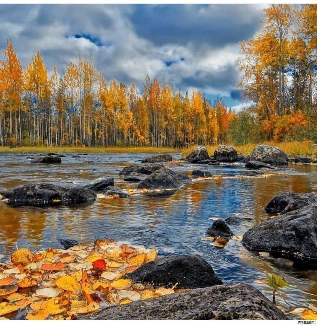 Золотая осень в Карелии
