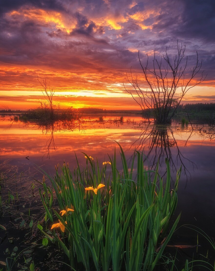 Природа закат