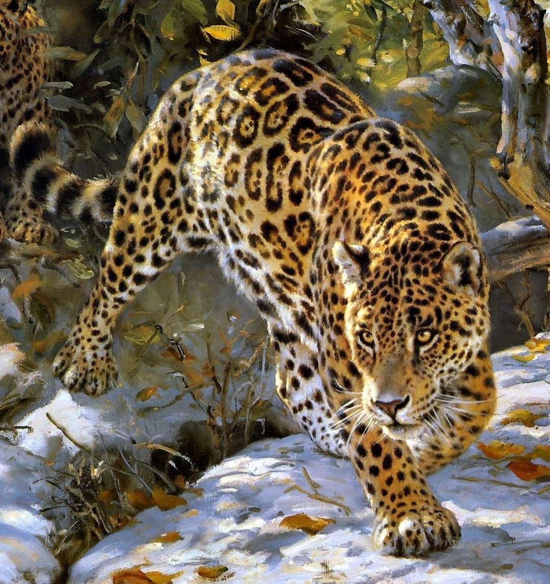 Картины животных