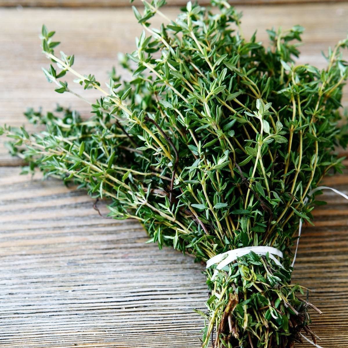 Thyme Zahter