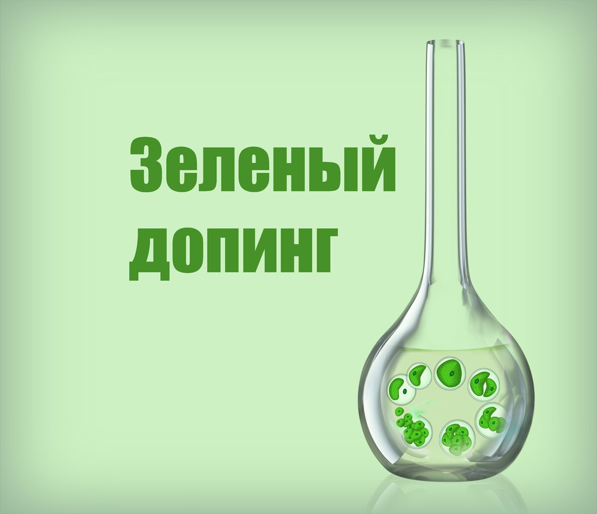 Хлорелла в колбе