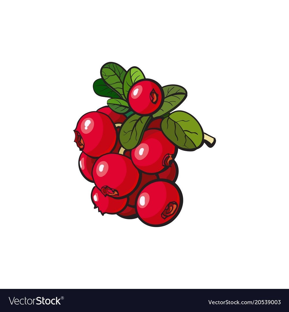 Клюква мультяшная