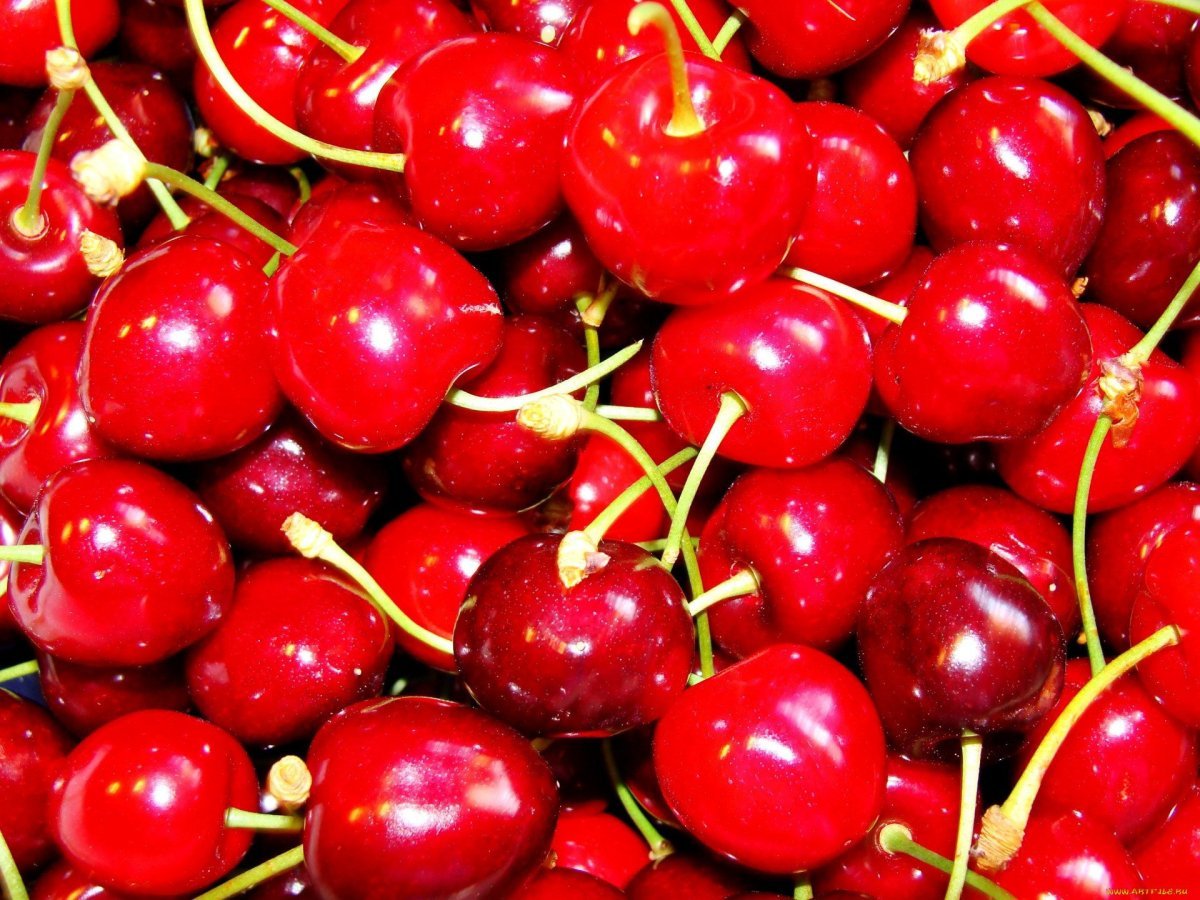 Черри вишня красная