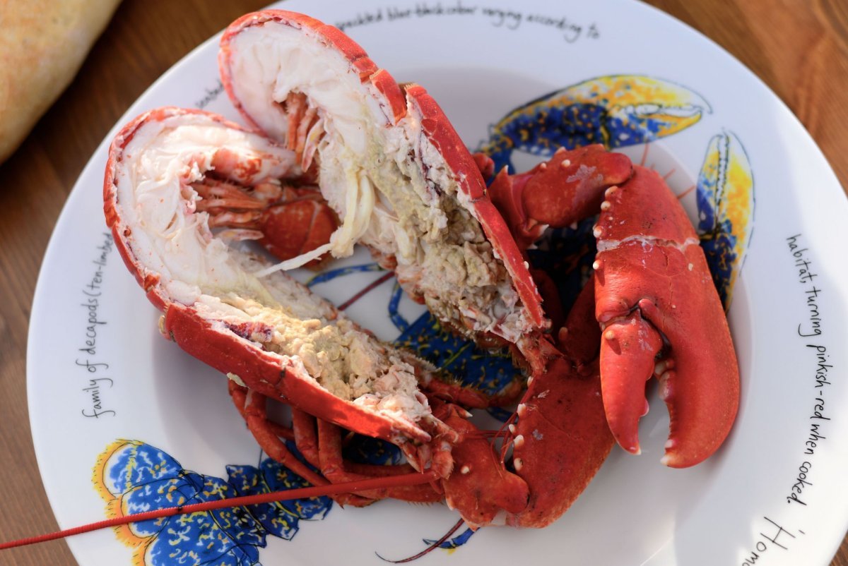 Лангуст мясо