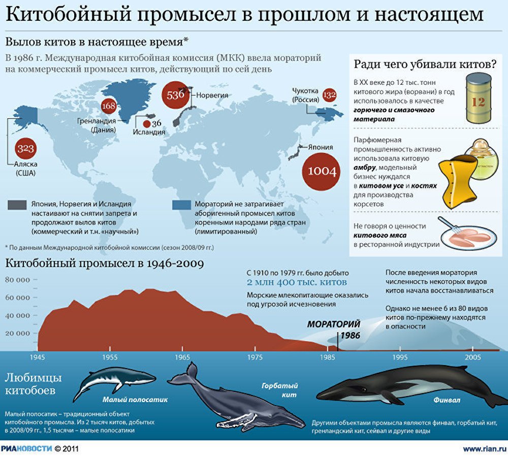 Китобойный промысел в прошлом и настоящем