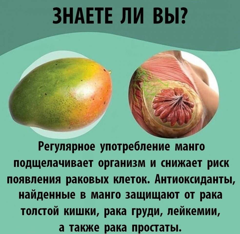 Манго полезные свойства
