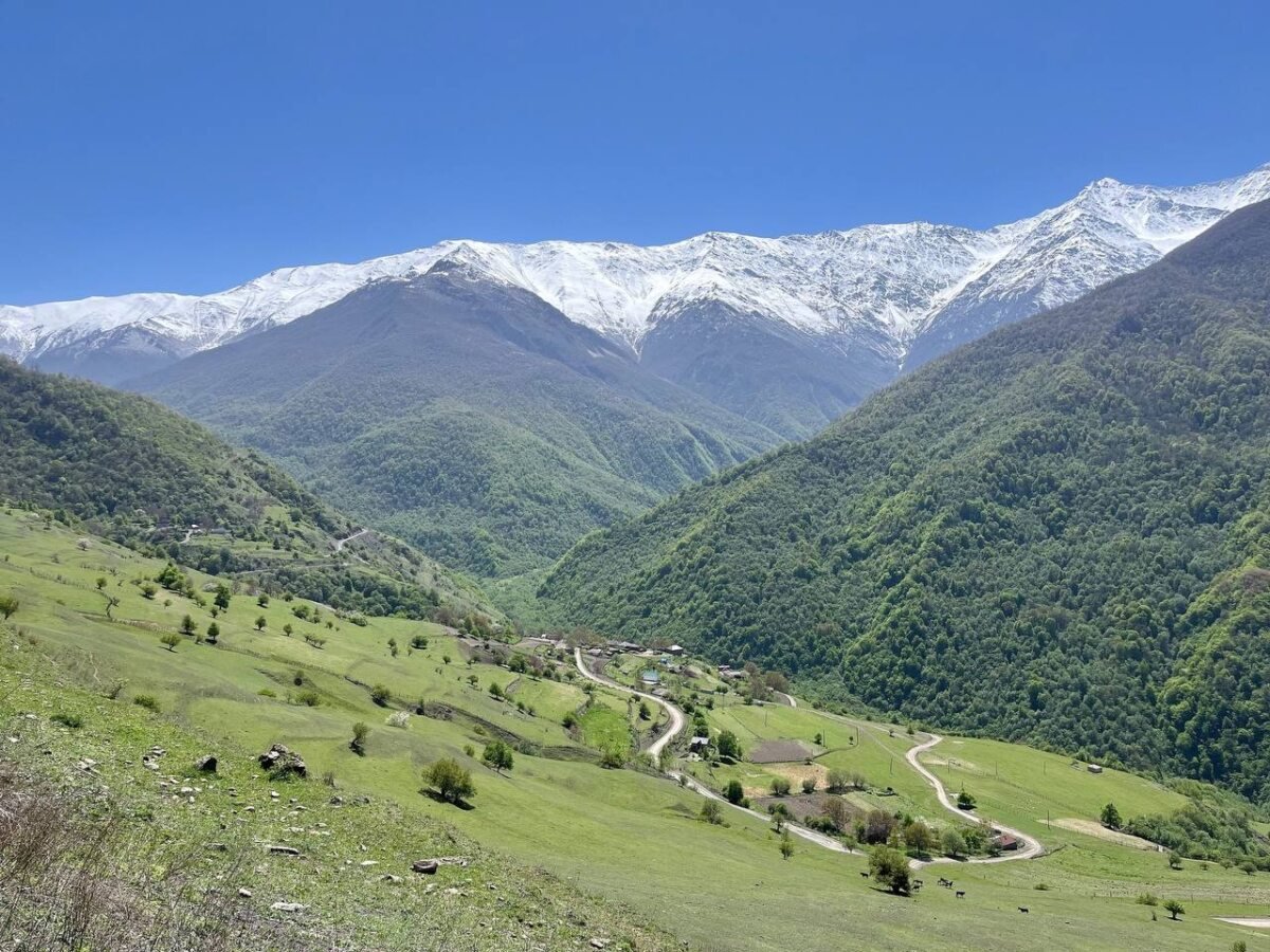 Аргунская природа