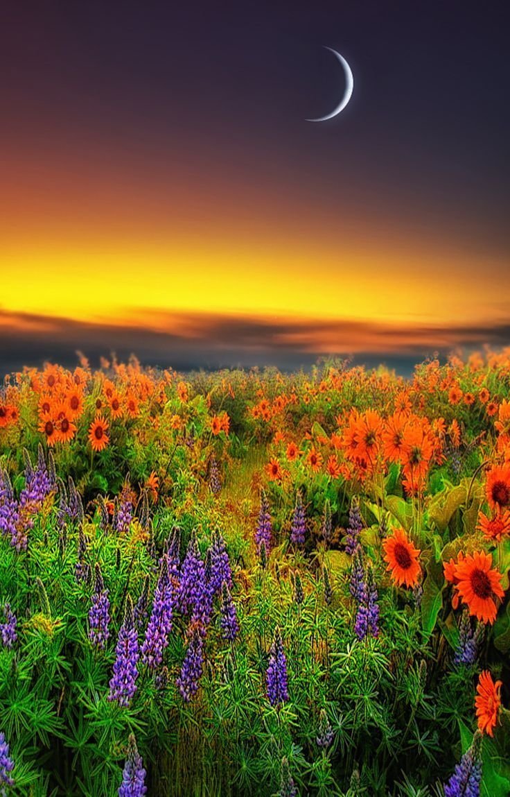 Яркая природа