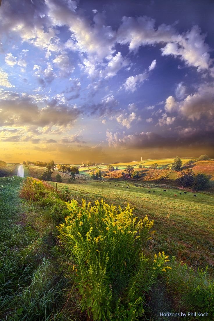 Июньская природа