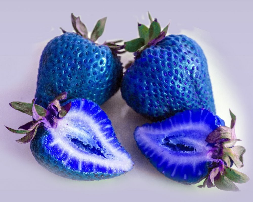 Синяя клубника