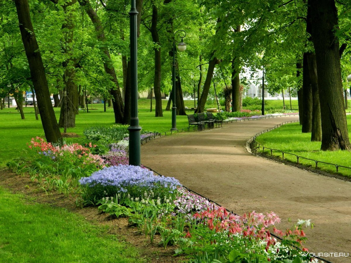 Санкт-Петербург. Михайловский сад ландшафт