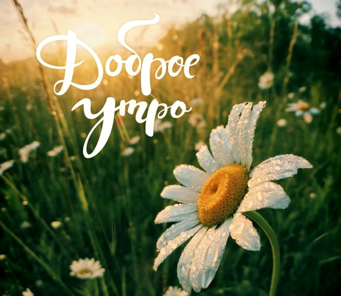 Природа прекрасного утра