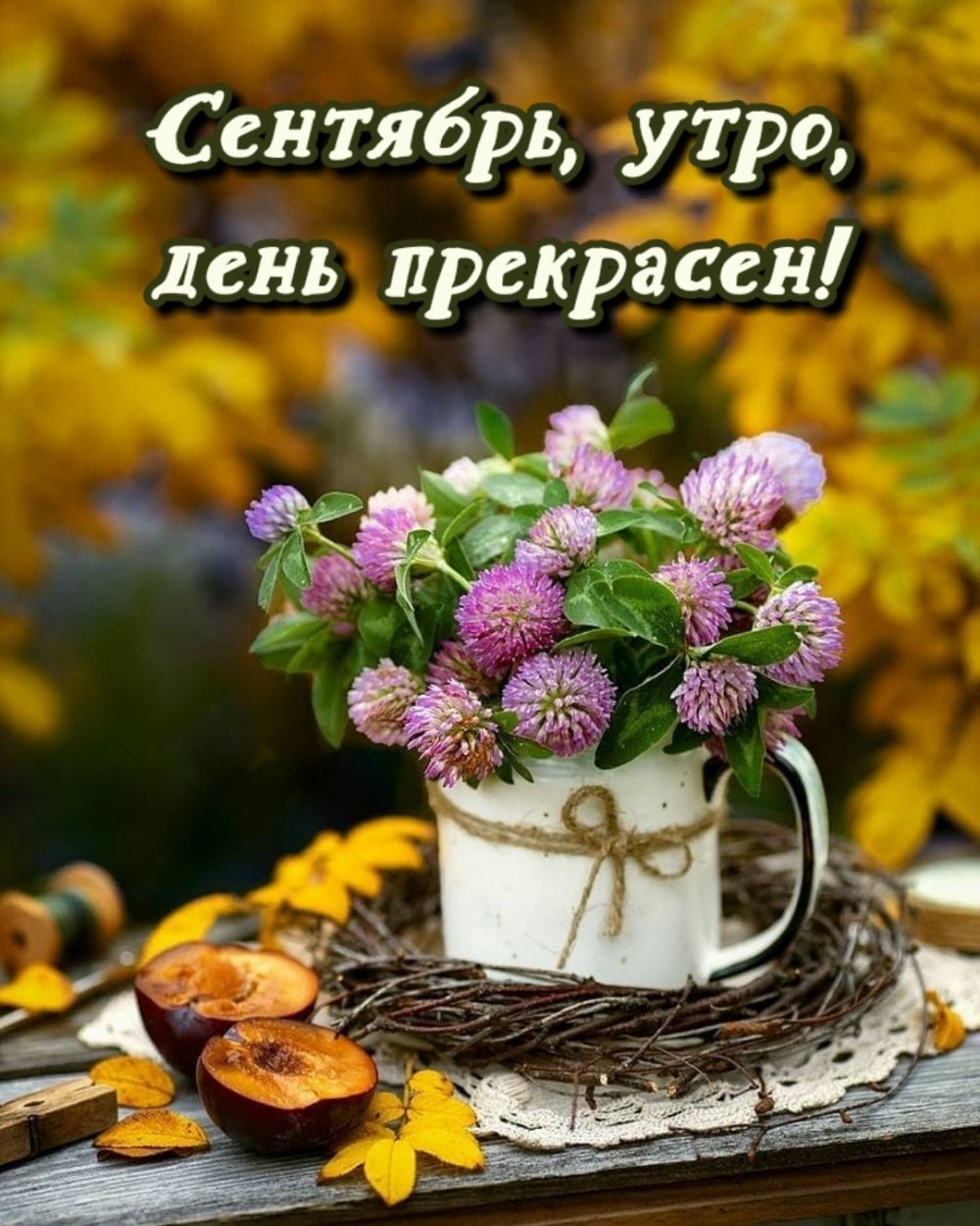 Доброго утра и замечательного дня осень