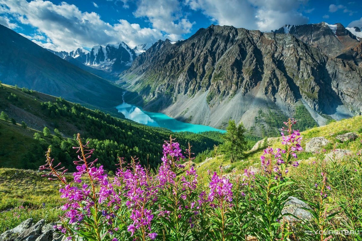 Горно Алтайск природа