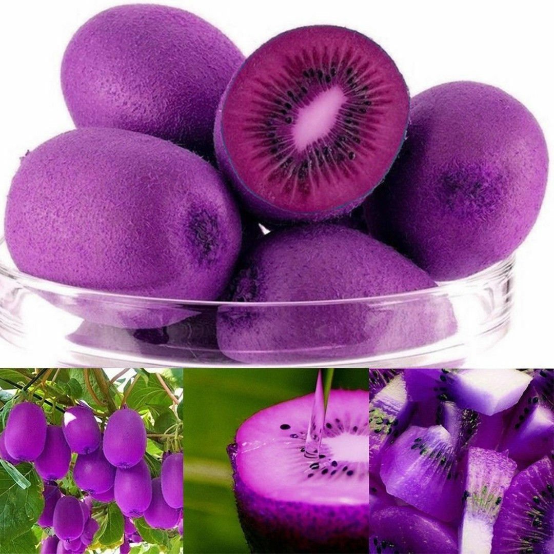 Фиолетовый киви