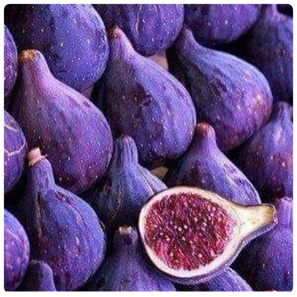 Инжир Violette de Bordeaux