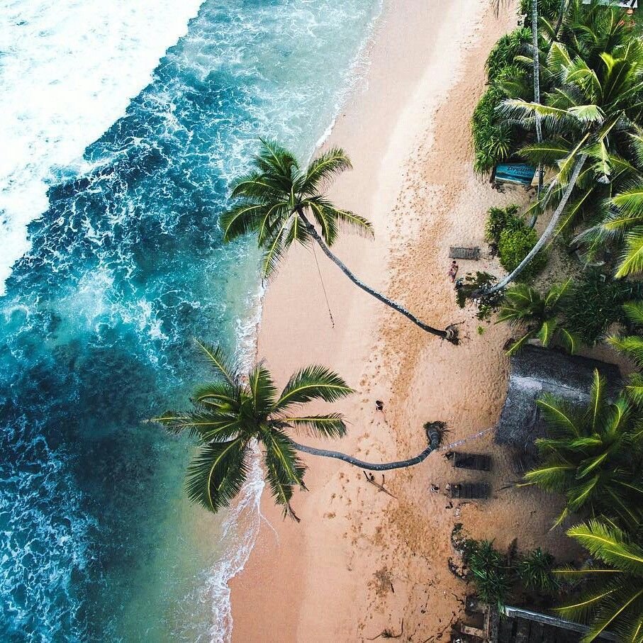 Summer Vibes
