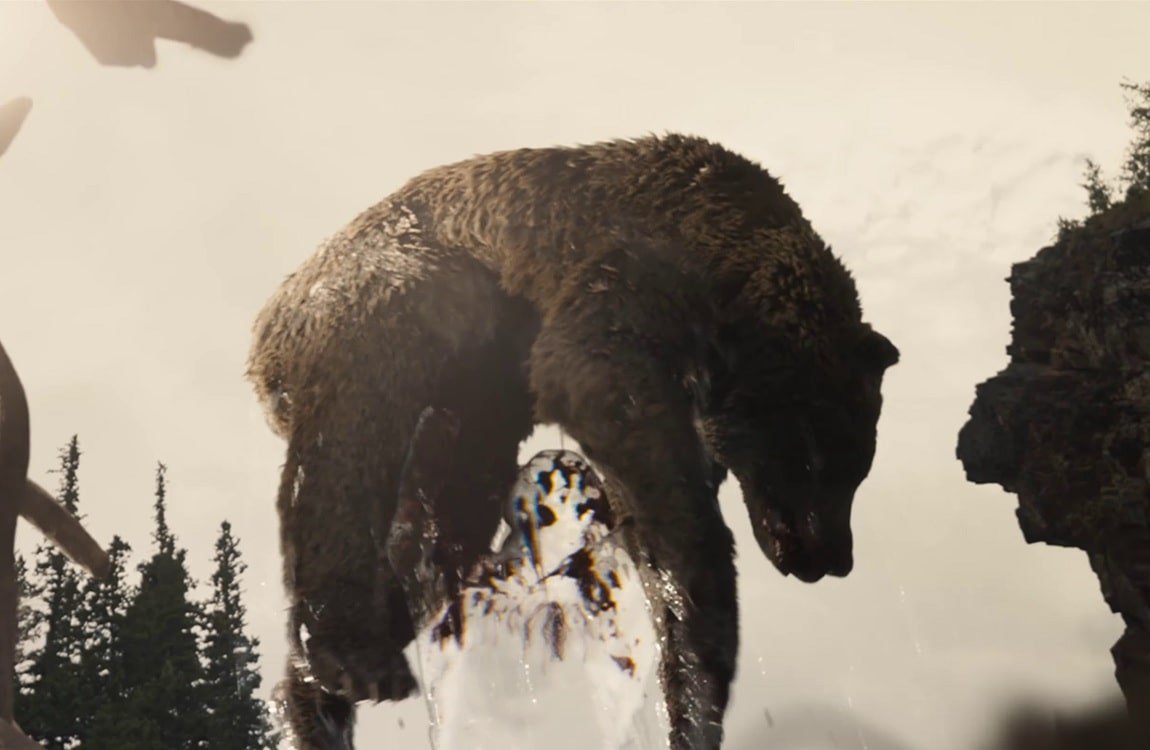 Bear Predator