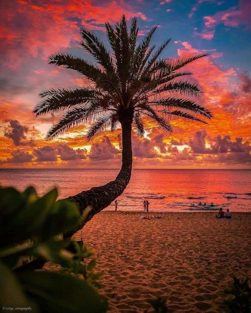 Гавайи Honolulu Sunset