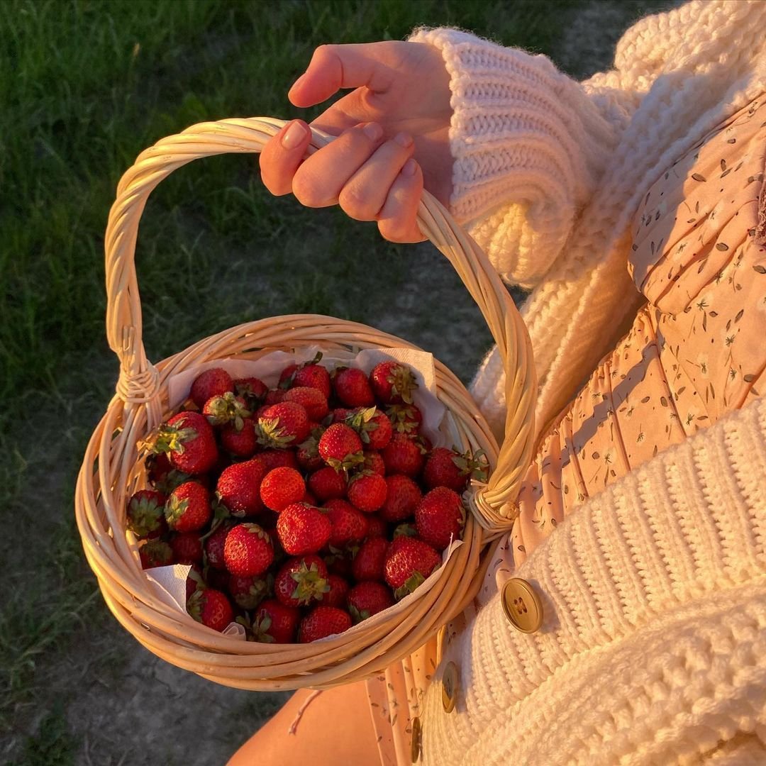 Самые крупные ягоды земляники