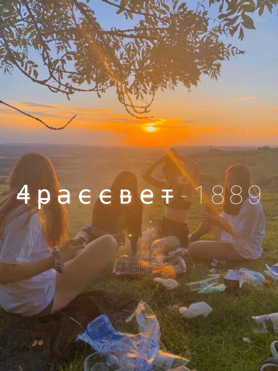 Лето с друзьями