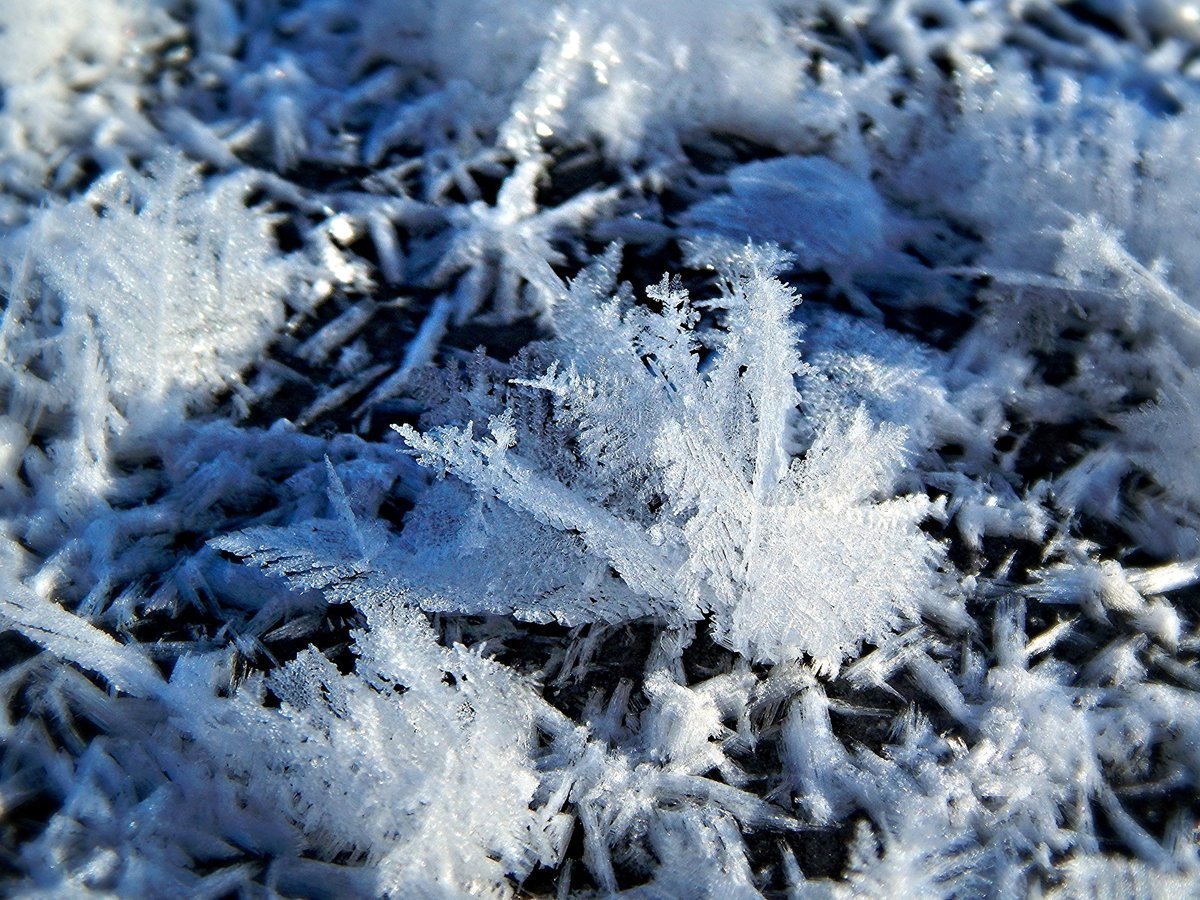Снег снежинки