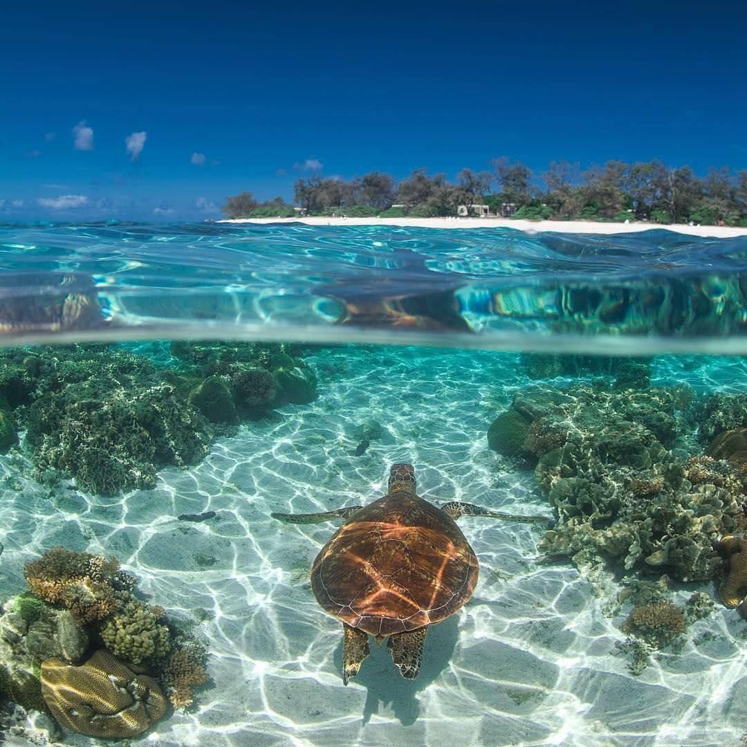 Great Barrier Reef Paradise